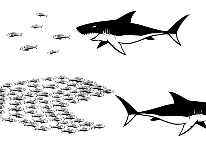 We Should Not Fear The Tyrants; The Tyrants Should Fear Us