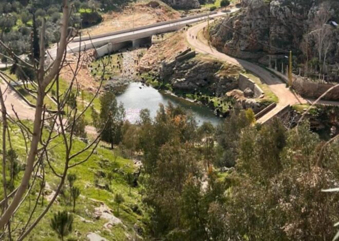 Update from Sohmor, West Bekaa, Lebanon