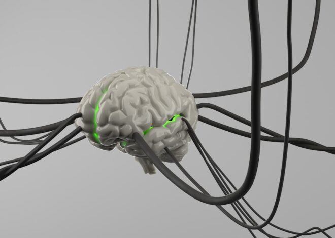 Analysis: The Artificial Presidency – by Arturo Dominguez