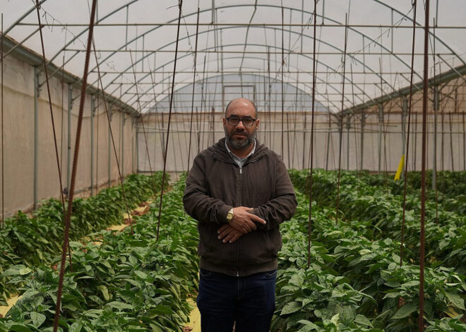 Israel’s war on the West Bank comes for Palestinian greenhouses