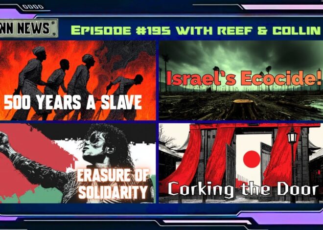 INN News #195 | 500 YEARS A SLAVE, ISRAEL’S ECOCIDE, ERASURE OF SOLIDARITY, CORKING THE DOOR