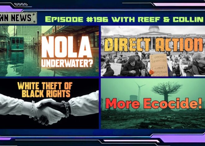 INN News #196 | NOLA UNDERWATER?, DIRECT ACTION, WHITE THEFT OF BLACK RIGHTS, MORE ECOCIDE!