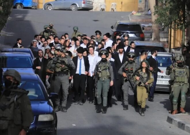 Israeli forces, settlers grow bolder, more violent – Daily Update