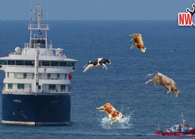 Throwing Sacred Cows Off Hantavirus Cruise Ships – New World Next Week