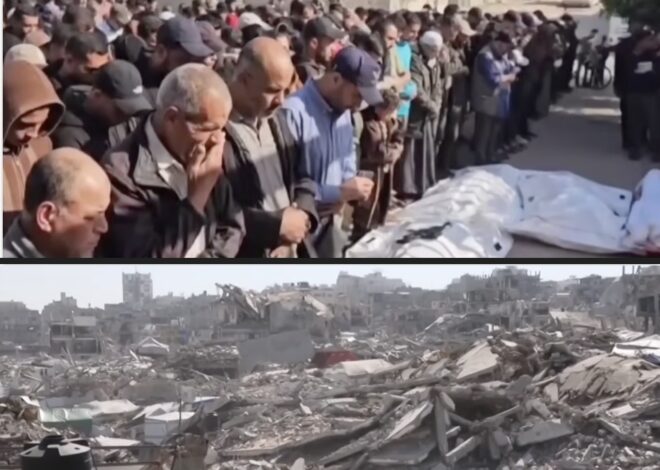 Israel outright killing the very idea of Palestine –Daily Update