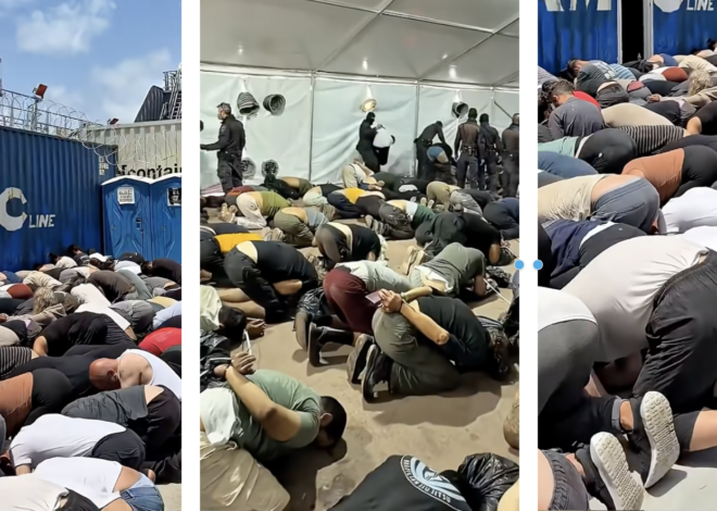Israel brutalizes flotilla humanitarian activists – Daily Update