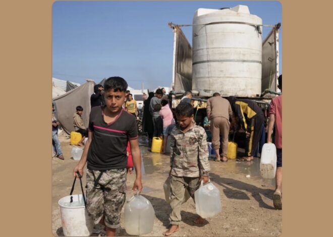 The horrors in Gaza continue: Here are the facts