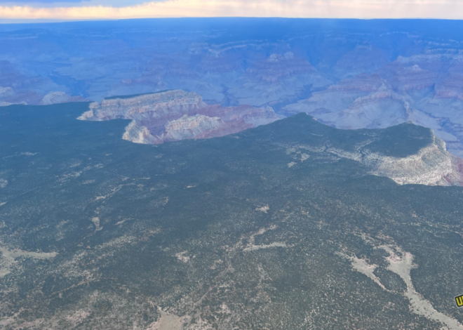 Indigenous Grand Canyon National Monument Designation Wins in Appeals Court