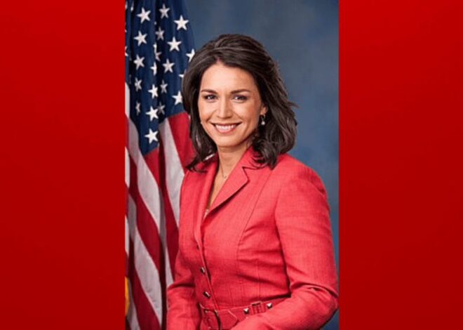 A Look Back At The Bizarre Political Career Of Tulsi Gabbard.