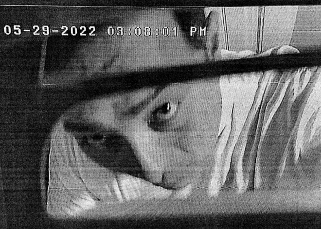 Update on Border Patrol agent toddler child pornography case.