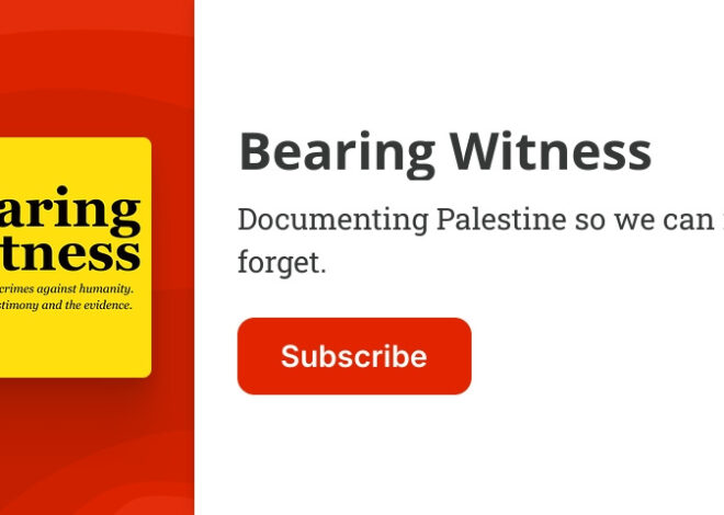 London Stabbings: Questions Over Selective Framing, Policing and Crackdown on Pro-Palestinian Protests