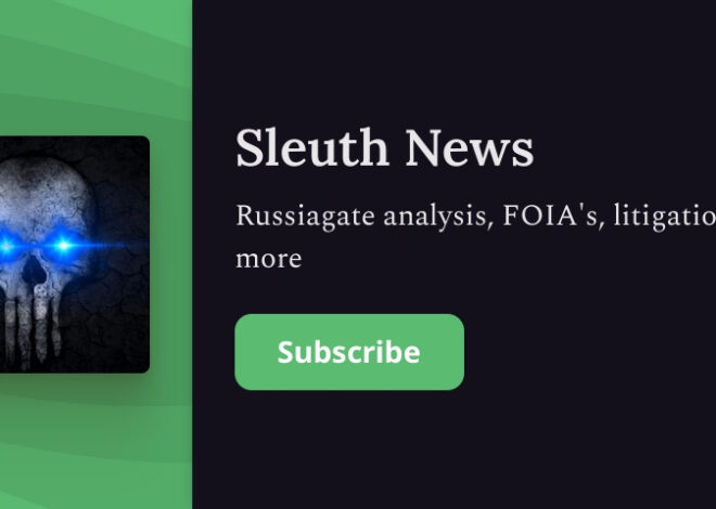 Case Submitted to COA – by UndeadFOIA