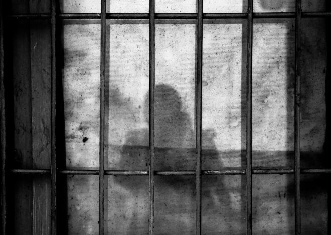 The documented history of ICE abuses.