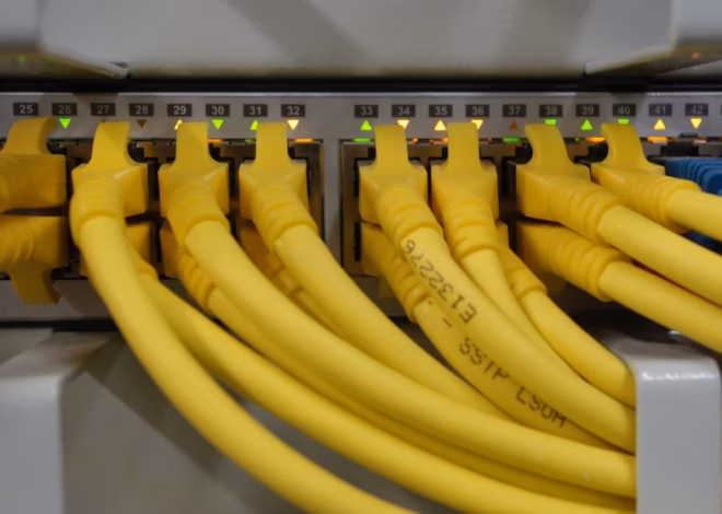 Fungible Digital Infrastructure for bottom-up resilience and censorship resistance