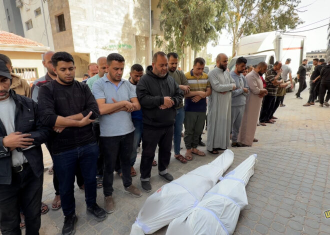 Brothers Delivering Water in Gaza for UNICEF Killed by Israel