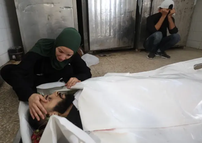 CPJ board member removed as it reviews journalists killed in Gaza