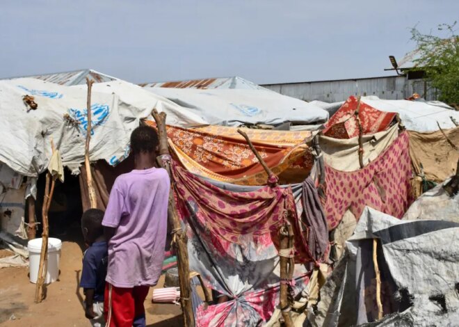 IOM: 1,430 people displaced in Sudan’s North Darfur in one day – Middle East Monitor