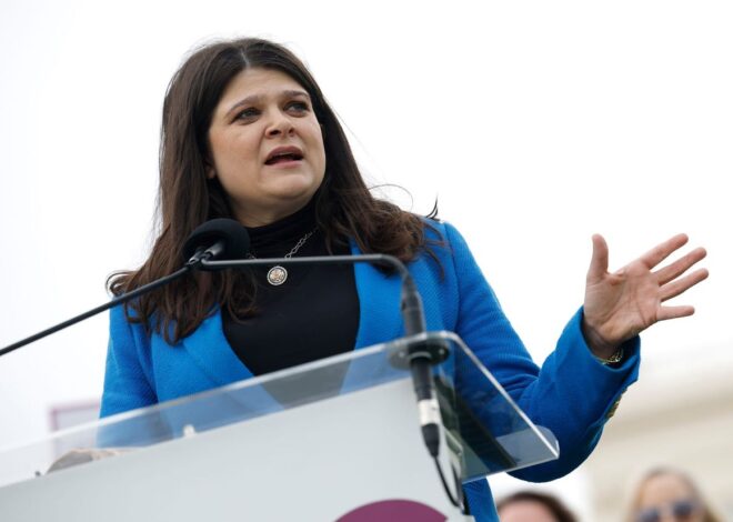 Shadow Super PAC Tied to Lobbyist Drops $1M for Haley Stevens