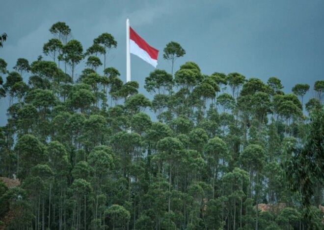 Indonesia needs not only GCC investors, but also bankable green projects – Middle East Monitor