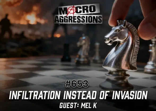 #653: Infiltration Instead of Invasion | Mel K