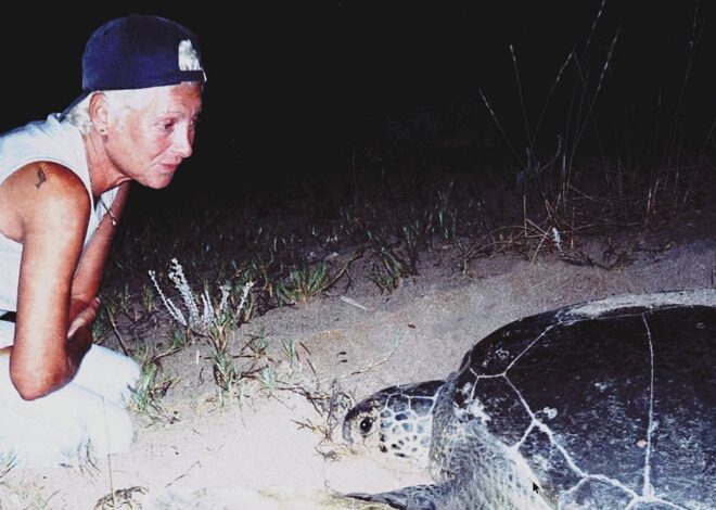Israel murders Lebanese Sea-Turtle conservationist