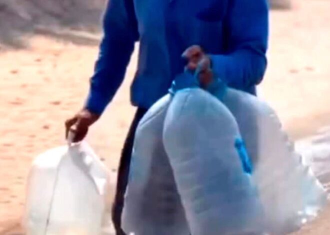 Testimony of Professor Ghanem Al Attar, seen running through Gaza in search of drinking water