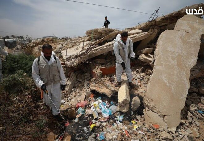 The Palestine Industry: The Rats of Gaza and the Opportunists among Us