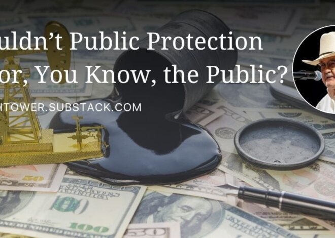 Shouldn’t Public Protection Be for, You Know, the Public?