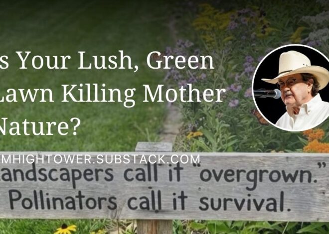 Is Your Lush, Green Lawn Killing Mother Nature?