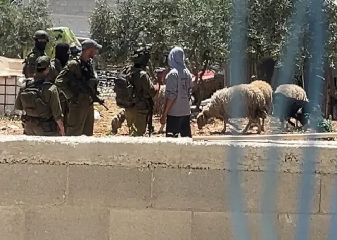 The racism and cruelty that define Israel’s settler movement