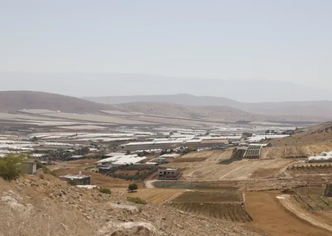 Crimson Thread: The New Israeli Separation Wall Cuts Up Farmland