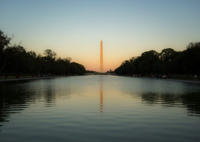 Bloom Baby Bloom: Why U.S. Waters Are Turning Green