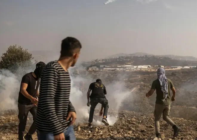Settler Violence Is an Israeli Strategy (2 articles)