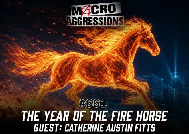 #661: The Year of the Fire Horse | Catherine Austin Fitts
