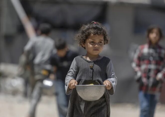 Gaza teeters on the edge of famine (again) – Daily Update