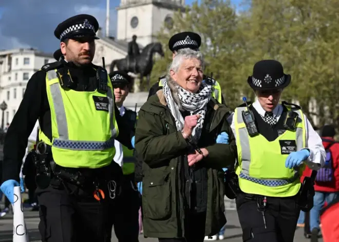 Britain ‘losing the plot’ over pro-Palestine crackdown – Middle East Monitor