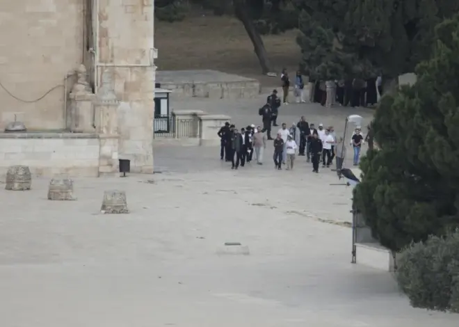 Israeli occupiers storm Al-Aqsa Mosque, chant provocative slogans – Middle East Monitor