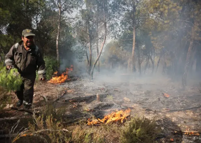 6 killed as forest fires sweep parts of Algeria – Middle East Monitor