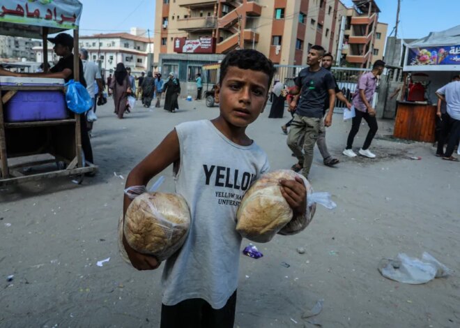 The colonial context matters in Gaza’s food insecurity – Middle East Monitor