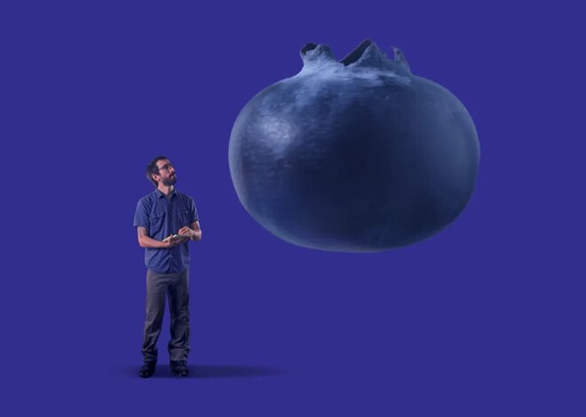 Do My Grocery Store Blueberries Come From Farms Where Workers Were Harmed? — ProPublica