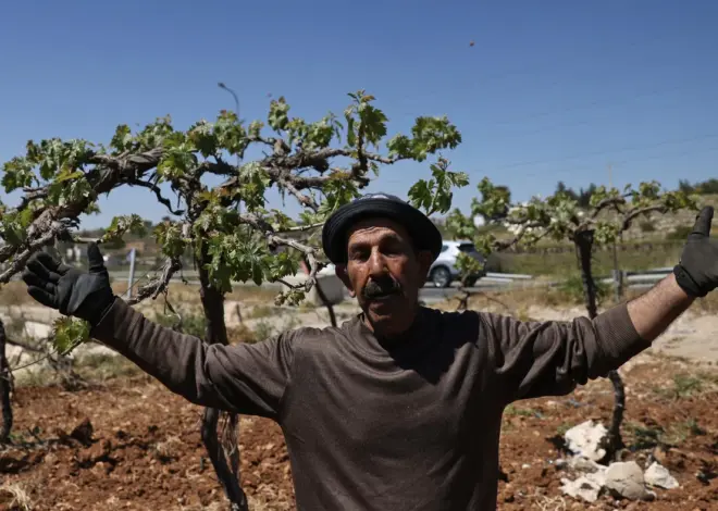 Israel announces theft of Palestinian land in West Bank