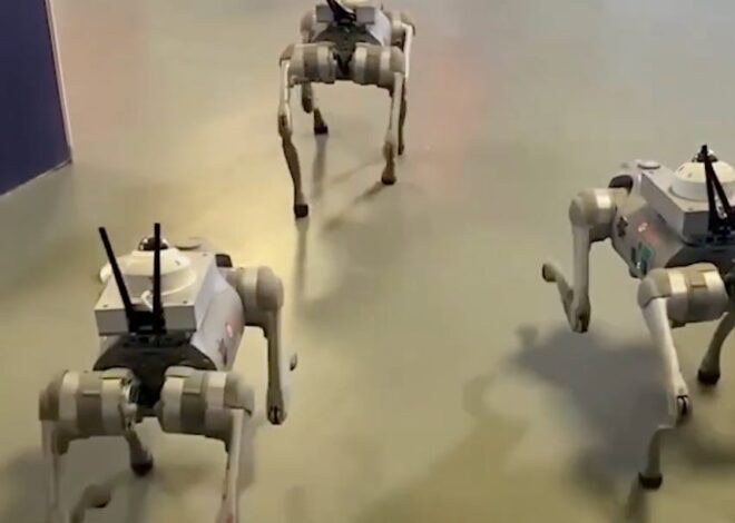 It’s A Race Between Revolutionary Consciousness And The Implementation Of Police Robots