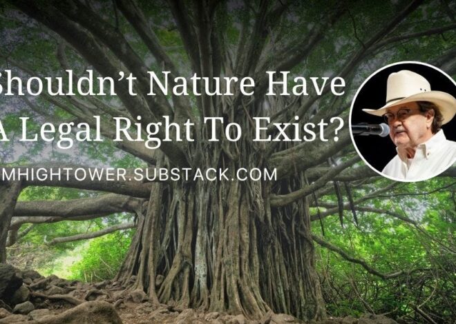 Shouldn’t Nature Have A Legal Right To Exist?