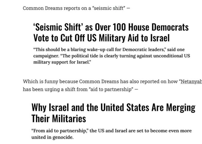Preformative Voting: Voting “Against” “Aid” When “Netanyahu” Says he Doesn’t Want It