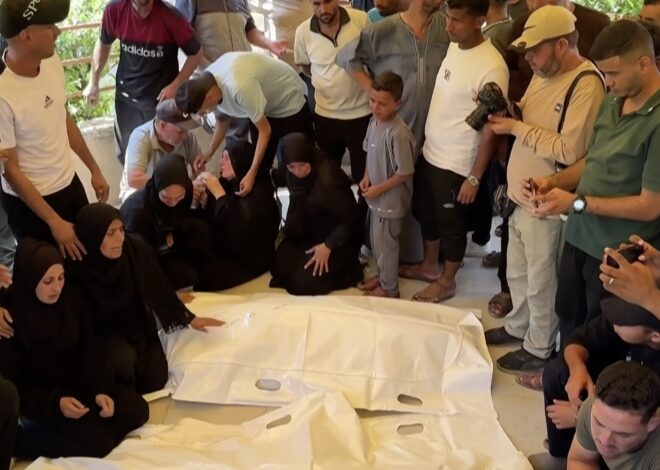 3year-old child among the dead in Gaza on Sunday – Daily Update