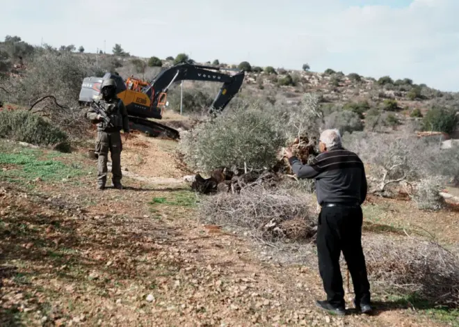 Israel orders uprooting of trees on 316 dunums in West Bank for settlement expansion – Middle East Monitor