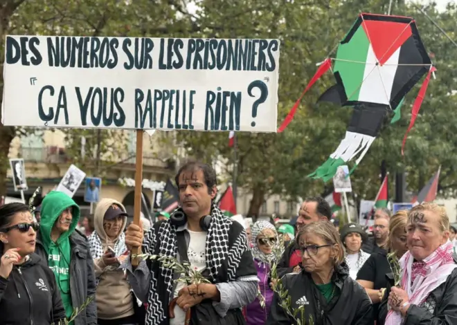 Pro-Palestinian protesters march in Paris with olive branches and kites – Middle East Monitor