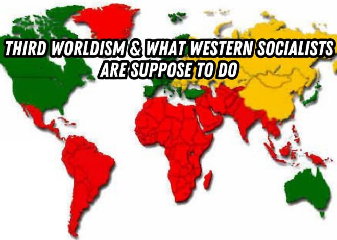 Third Worldism & What Western Socialists Are Suppose to Do