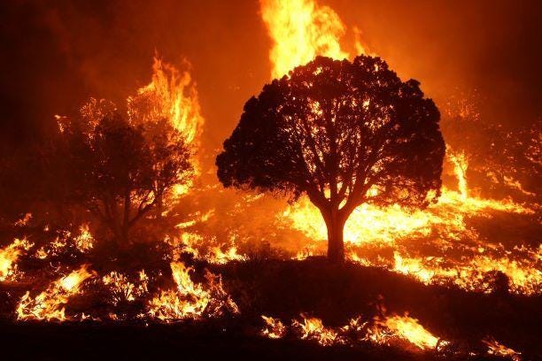 Thatcher warned in 1989 of a climate crisis. She did nothing. Nor will her successors