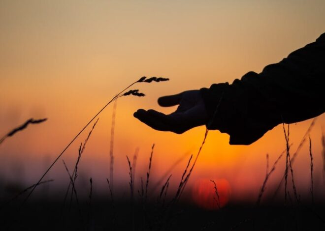 Let Your Love For This World Fill You With Joy And Compel You To Action